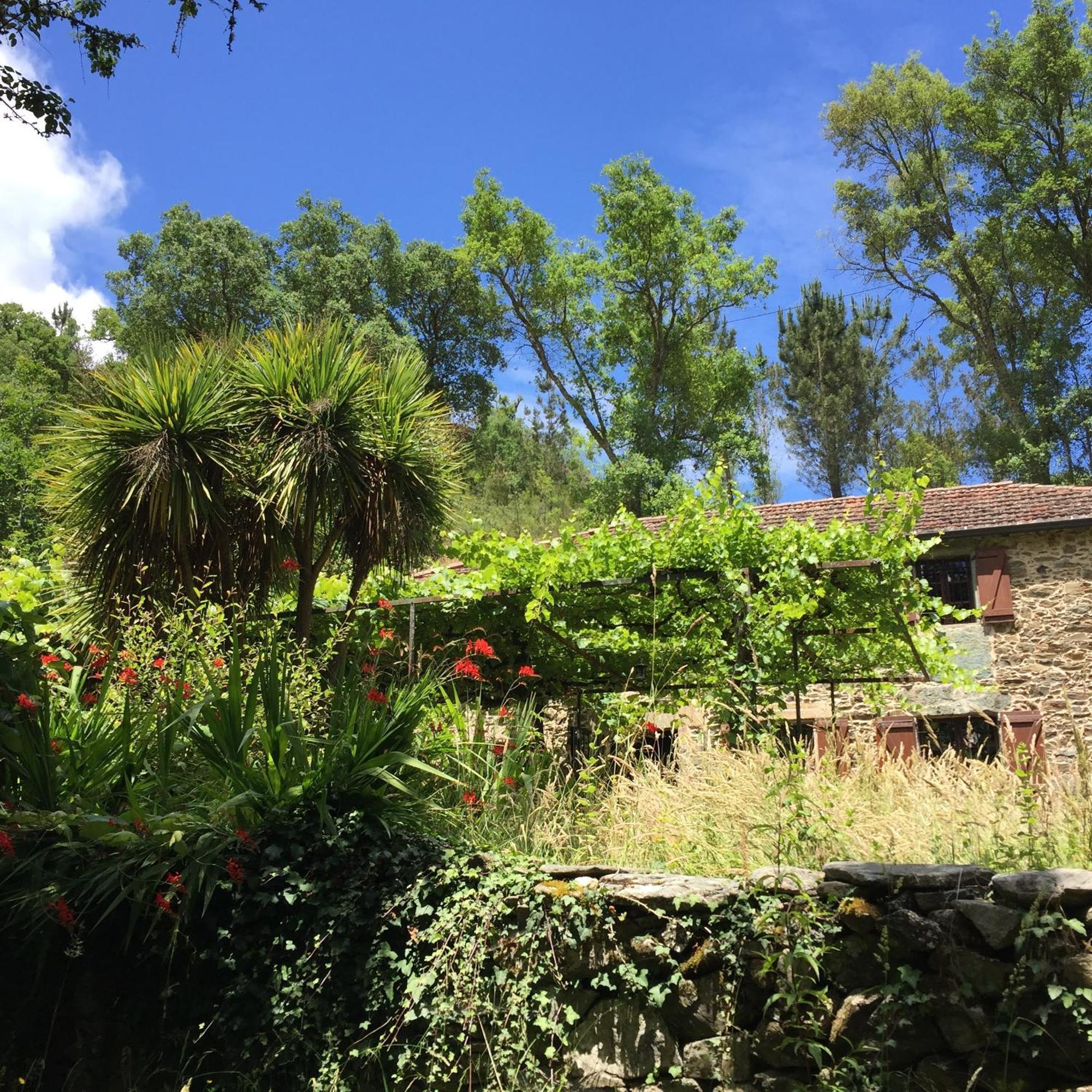 O Muino Da Balsina Vila Toiriz Exterior foto